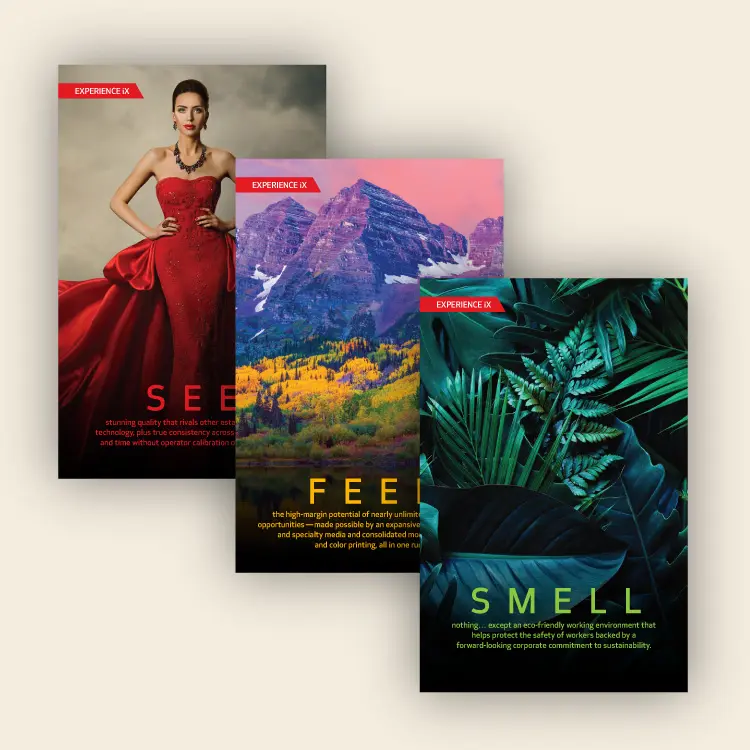 Three colorful cards from the award-winning Experience iX direct mailer we produced for Canon.