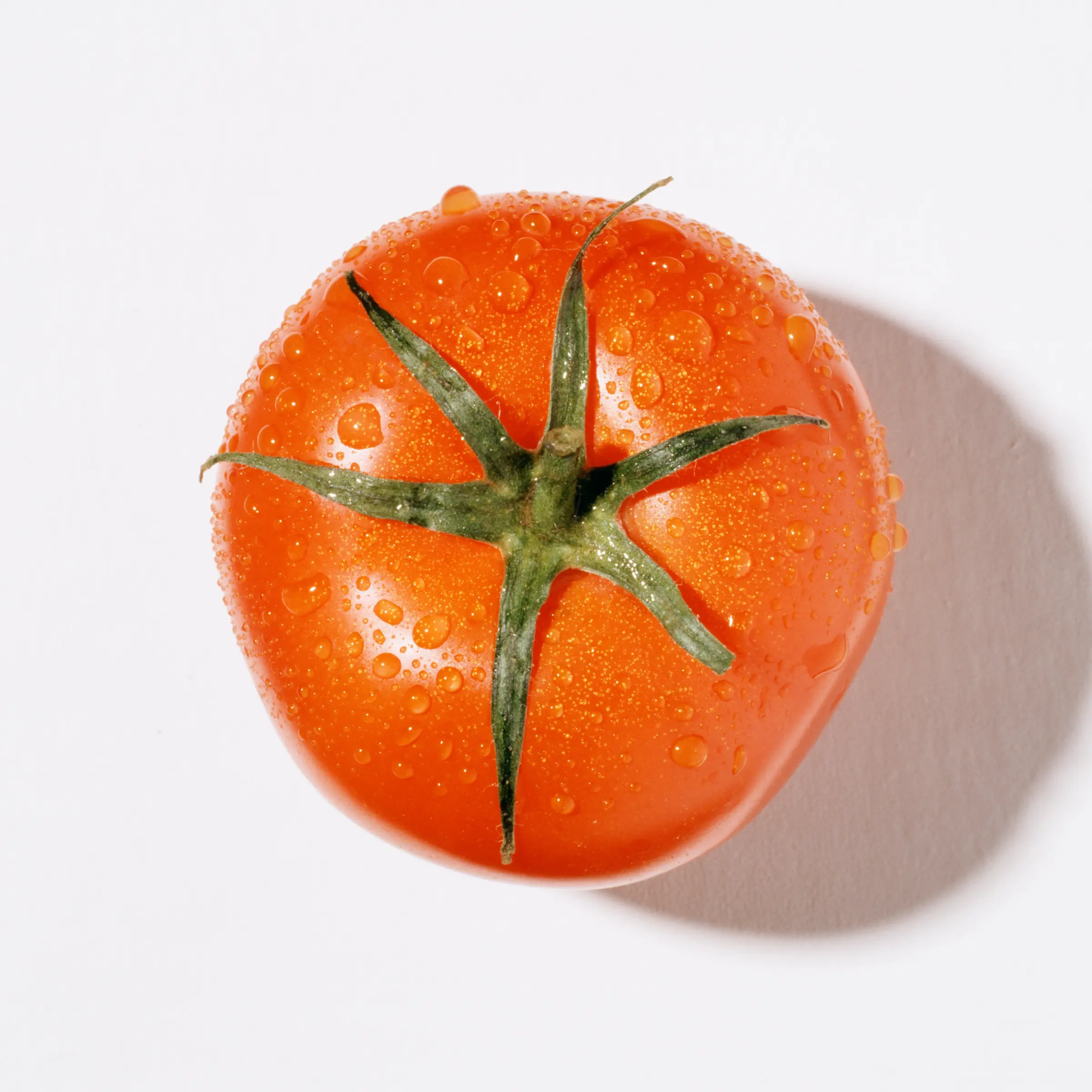 A ripe, red tomato represents our branding and photography work for SLYCE Coal Fired Pizza Company.