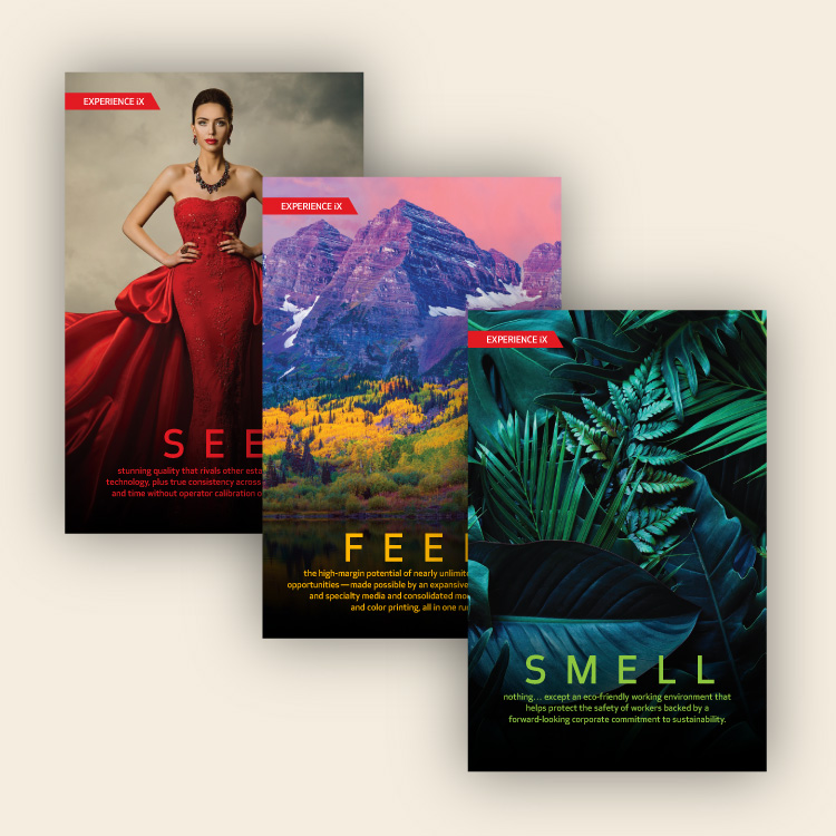 three images, one of a fancy woman, one of a mountain landscape and one of a lush green forest