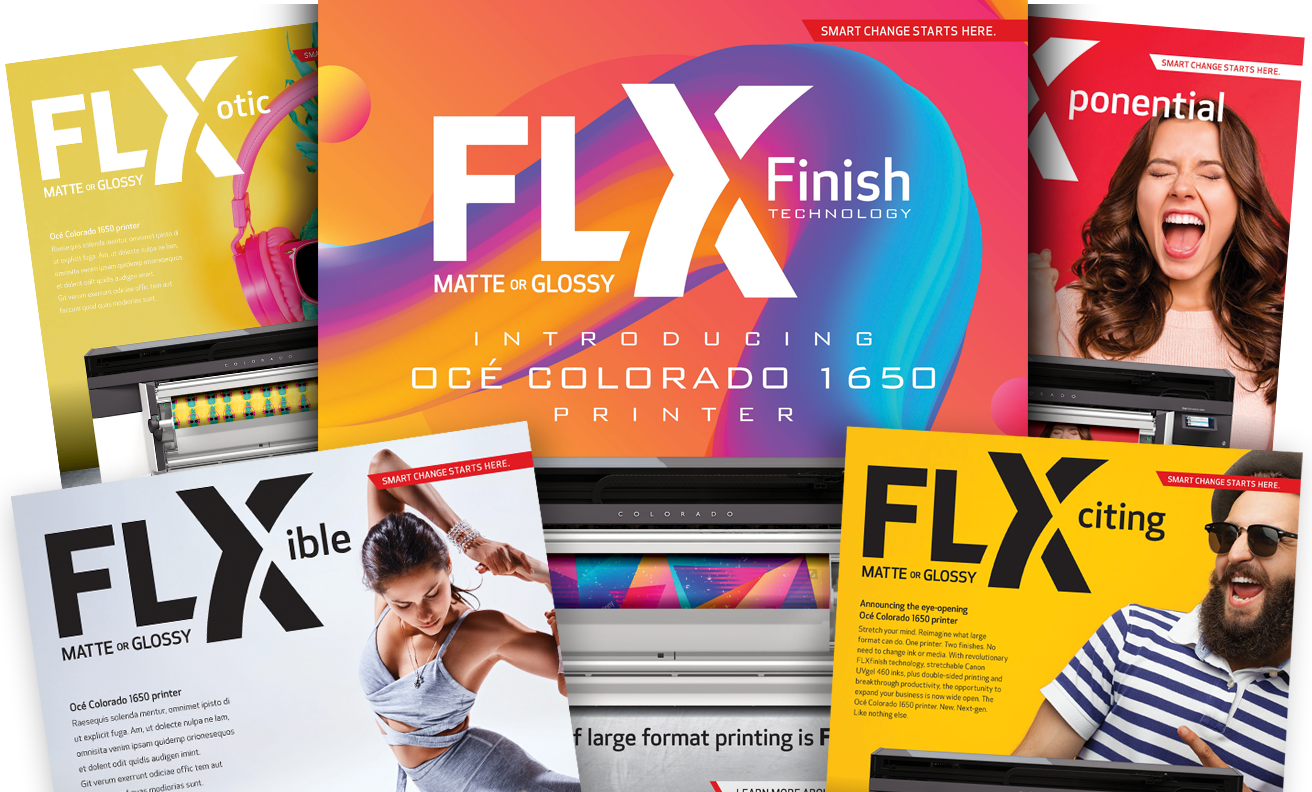 clientportfolio_canon_lfs_1312x792_img01 Several flyers advertising FLXFinish