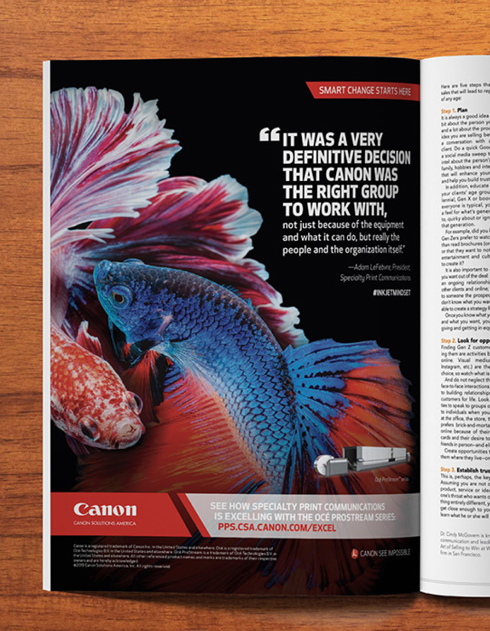 focused on one page of an open magazine, page shows two fish