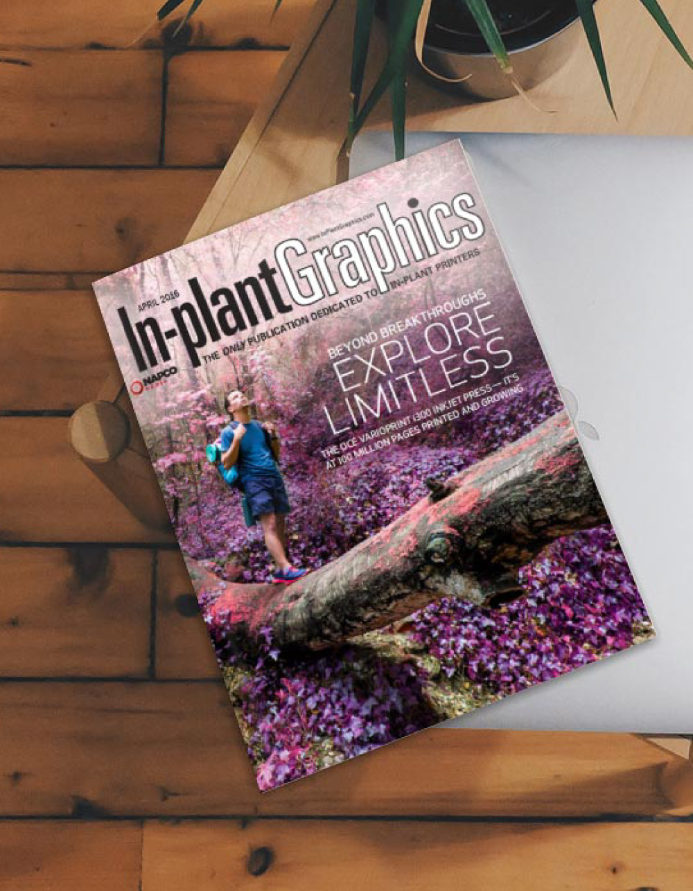 magazine on top of laptop on coffee table, cove shows man exploring in purple forest