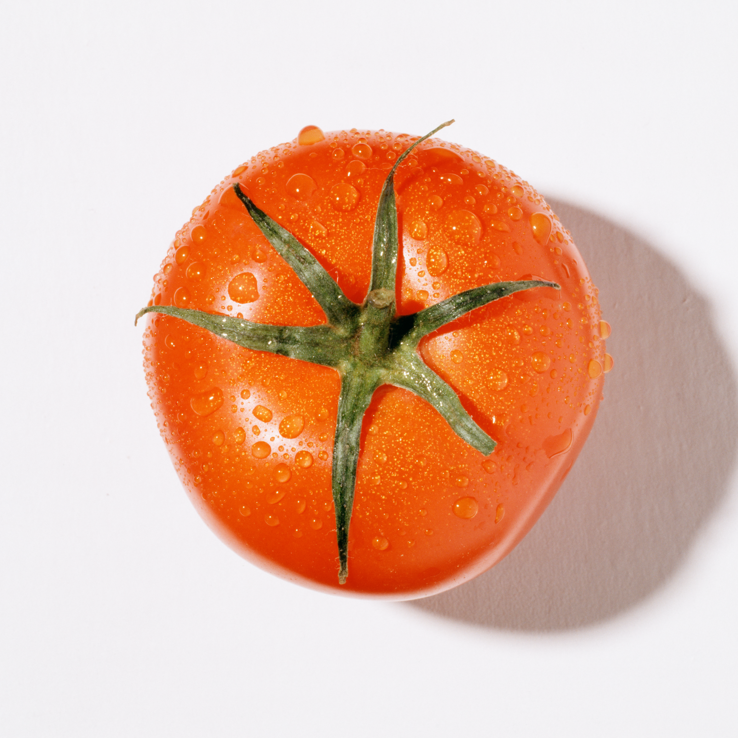 tomato