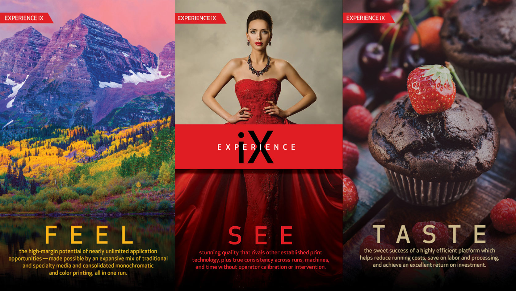 Experience-iX-Blog-Banner