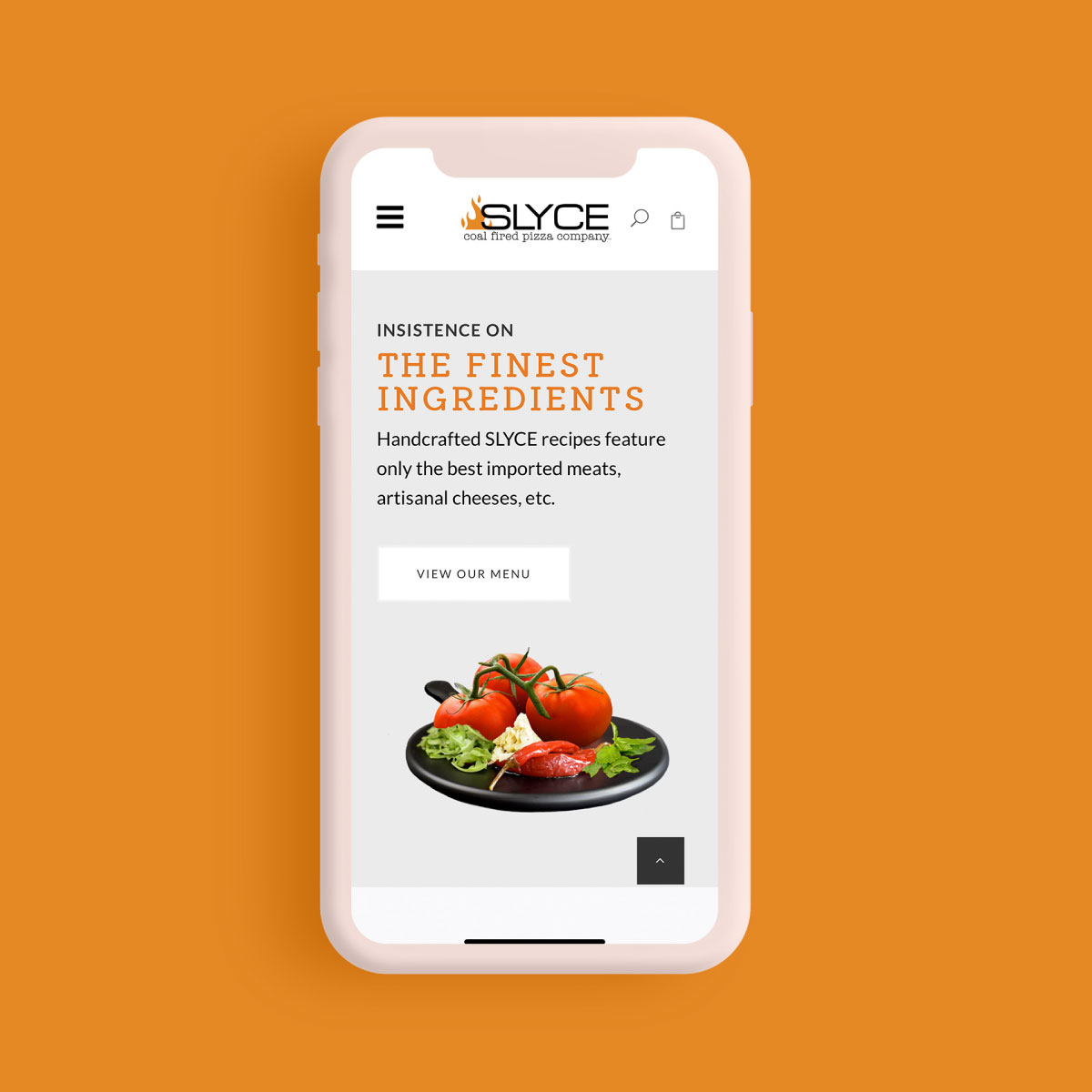 a cellphone on an orange background, on the screen is the SLYCE website